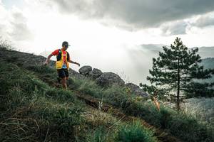 BIB: 
                            <button type="button" onclick="openModal(25993806)" class="btn btn-primary btn-sm float-right btn-popup" data-toggle="modal" data-target=".modal-high-quality">
                        <i class="fas fa-shopping-cart"></i> Add to Cart
                    </button>
                                            <button type="button" onclick="isThisMe(25993806, true)" class="btn btn-success btn-sm float-right btn-popup btn-isme hidden" data-toggle="tooltip" data-placement="bottom" title="นี่คือรูปของคุณใช่ไหม คลิกที่นี่เพื่อเอาเข้าอัลบั้ม">
                        <i class="fas fa-plus"></i> Add to album
                    </button>
                    <button type="button" onclick="isThisMe(25993806, false)" class="btn btn-warning btn-sm float-right btn-popup btn-isnotme hidden">
                        <i class="fas fa-ban"></i> Remove from album
                    </button>